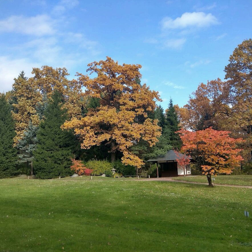 Садовый павильон и краски осени