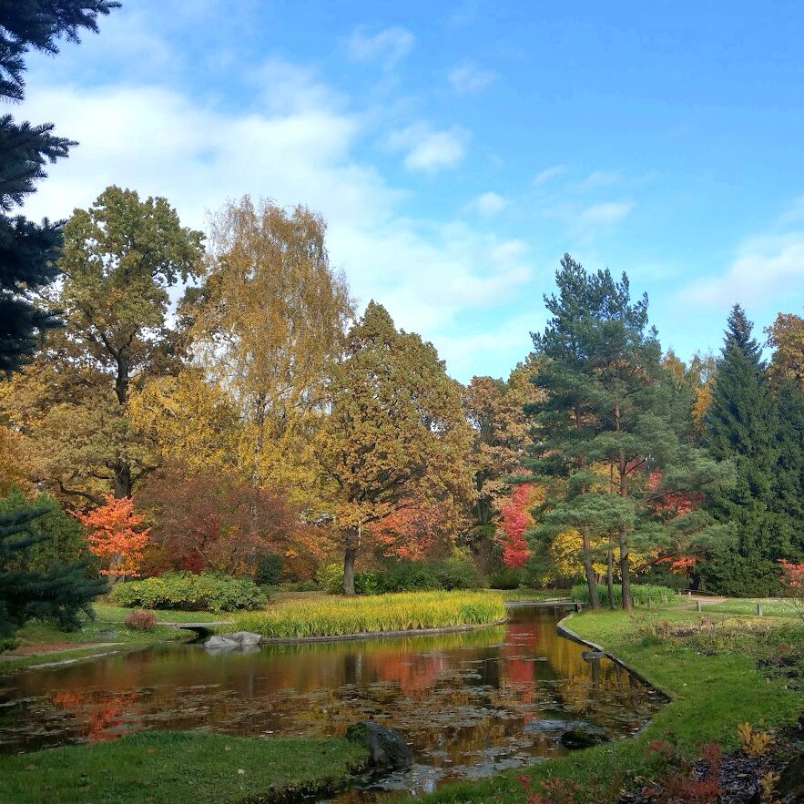 Вписанный четырехугольник. Четырёхугольник abcd вписан в окружность. Угол сад 39. Четырёхугольник abcd вписан в окружность. Четырнхуголньник впис в окр.