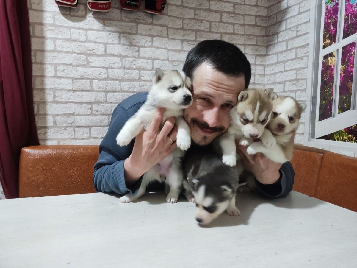 ФОТО: ДИНАР ХАКИМОВ/ПРЕДОСТАВЛЕНО ИЗДАНИЮ ЦАРЬГРАД.