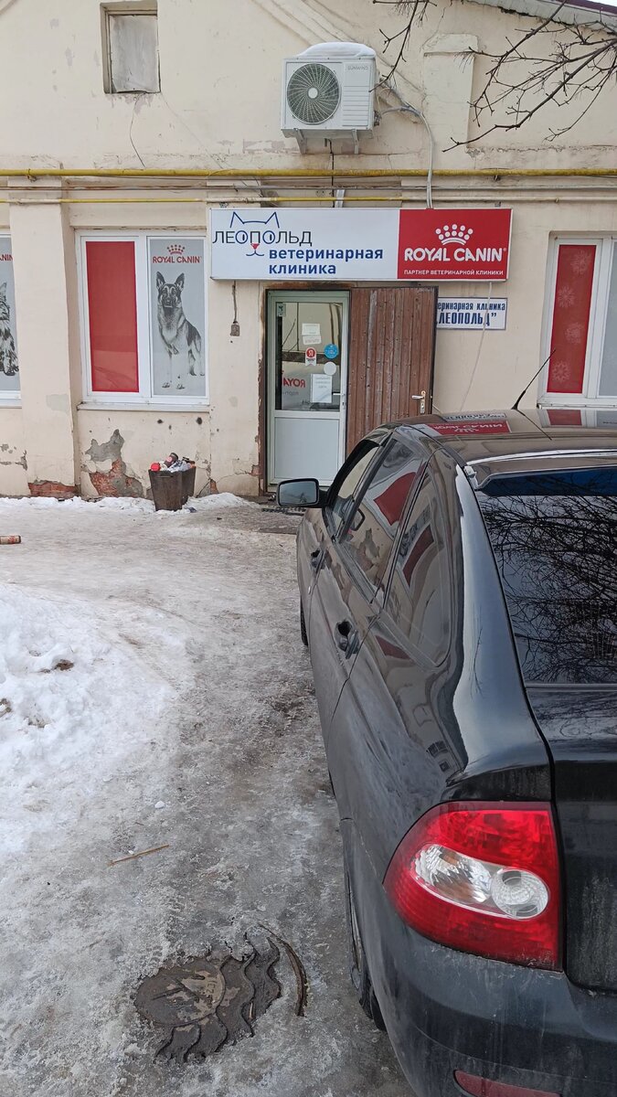 Как продлить трафик на билайне. Оптимизация интернет соединения. Как подключить пакет интернета. Продлить скорость интернета. Ростелеком трафик интернета.