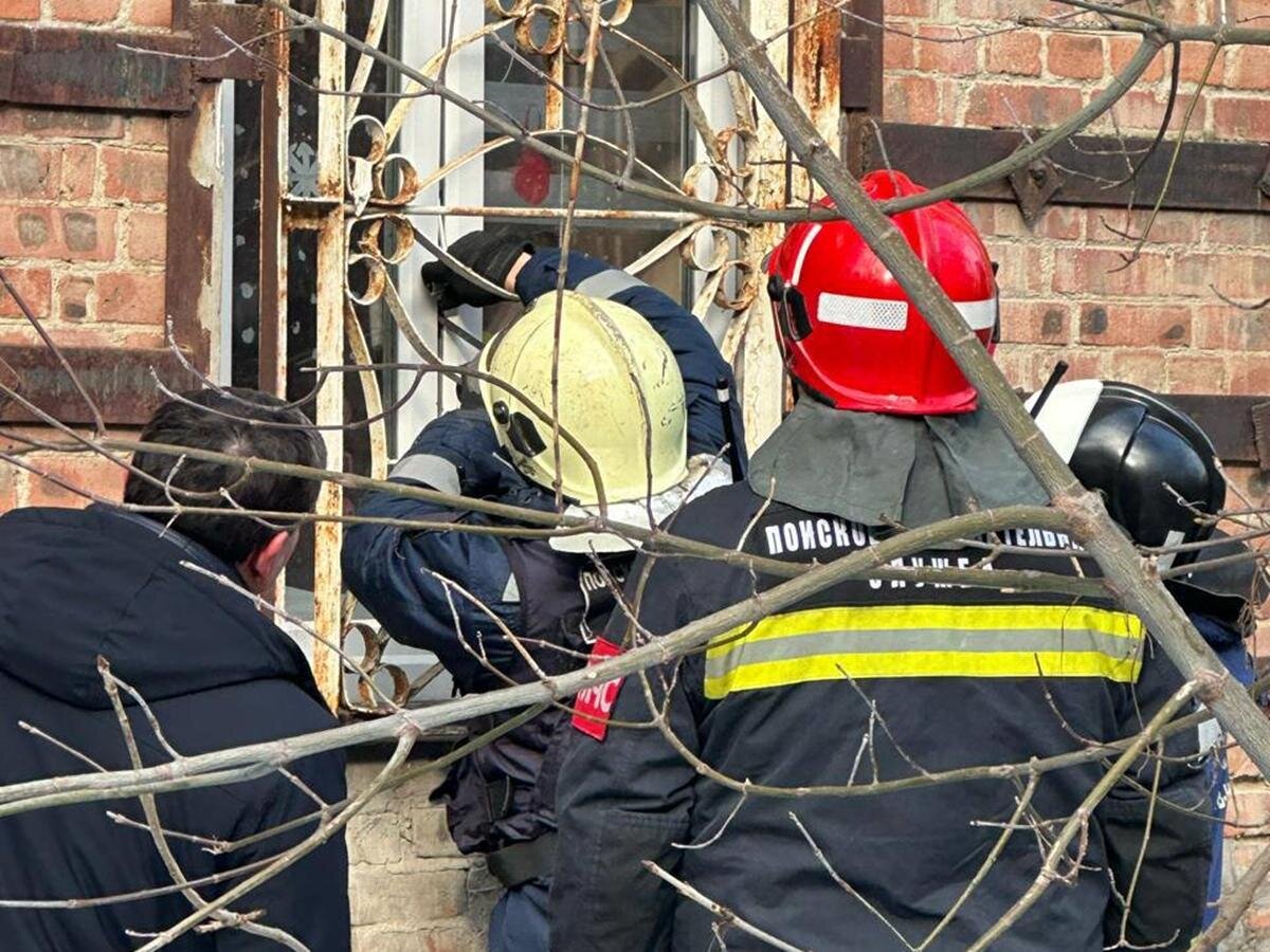 В Ростове началась операция по спасению животных из дома на Нариманова |  Donday.ru | Дзен