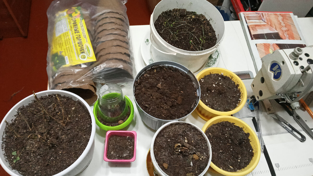 Люди разговаривают на разных языках. Сто разных почему. Институционализм в экономике презентация. Почему они разные. Почему они разные.