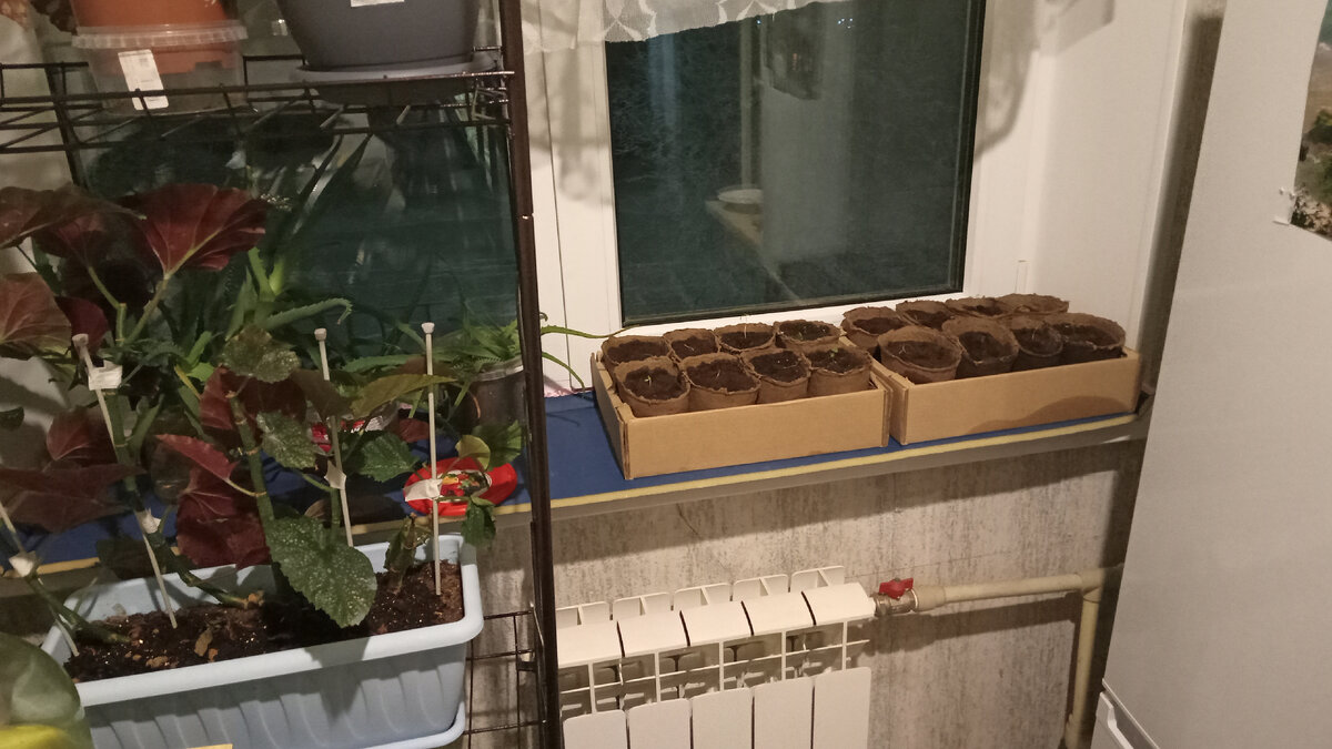 Магнитогорск ул труда 31. Героев труда 29 новосибирск. Труда 31 омск. Парикмахерская селеста магнитогорск. Труда 31 1.