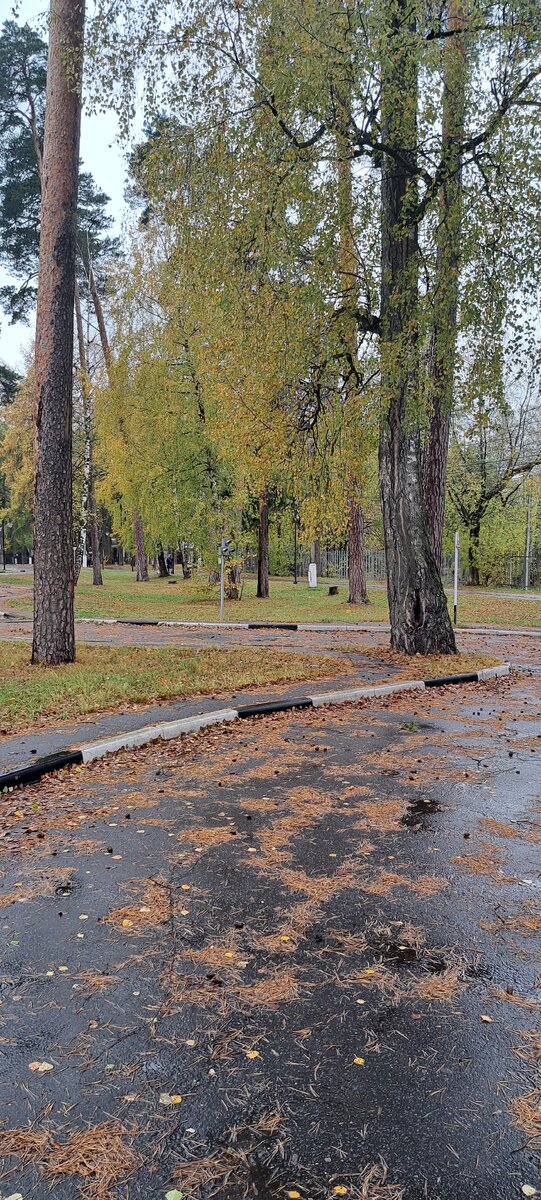 крепко спать в доме персонажа.