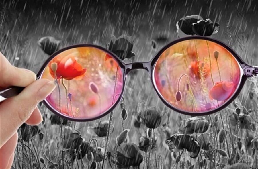 Верблюд. Гибриды верблюдов. Шутки про папу. Верблюд на горе. Анекдот про верблюда.