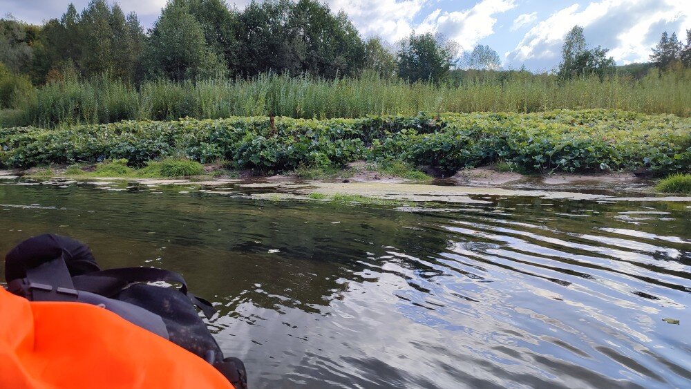 остров хаус карелия. лесное озеро мостки. в тихих местах под. деревня. в тихих местах под.