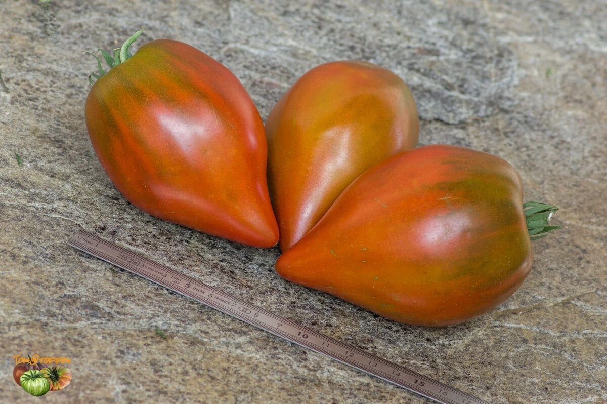 ‘Linnaeus Heart’. Уникальность этой моей статьи в том, что здесь не будет ни одной моей фотографии - да и откуда бы, все сорта - только в перспективе. Эта фотография - с https://www.tomatofifou.com.