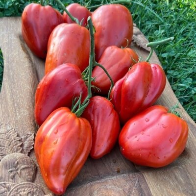 ‘Cuore Antico di Acqui Terme’. С https://stroy-podskazka.ru.