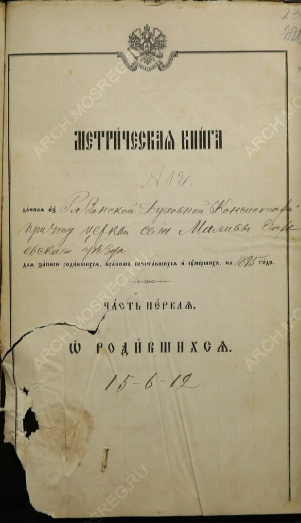 Метрическая книга церкви Петра и Павла села Маливо