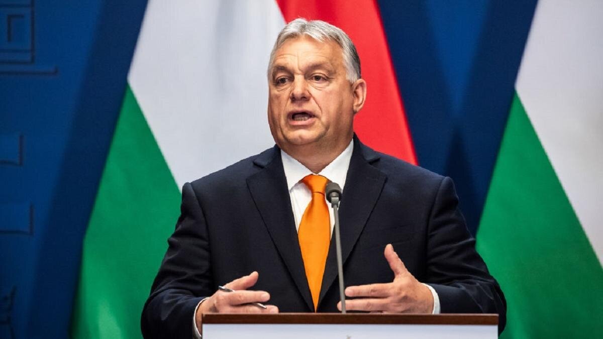 Виктор цой концерт. Концерт виктора королева. Виктор цой лужники 1990. Виктор королев концерт. Выступление виктора.