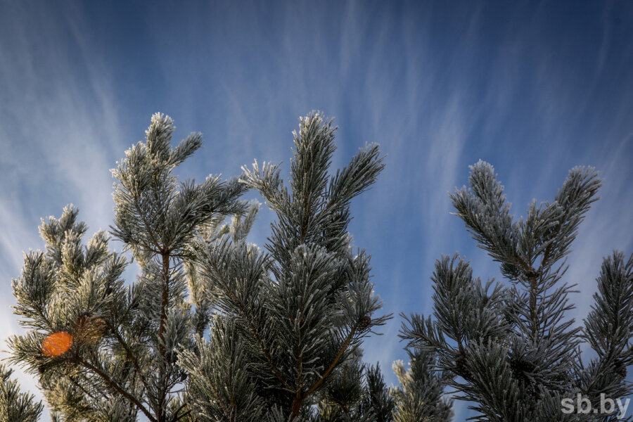 Станция вернадовка. Станция пашково земетчинского. Пашково харьковская область. Прогноз погоды в морсово на две. Жд станция морсово.