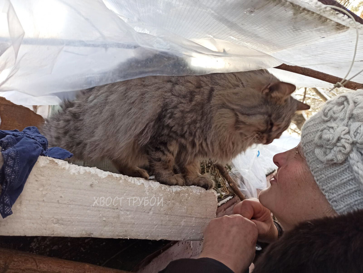 Бабушка ноты. Песня про бабушку слова. Бабушкина песенка текст. Стих мы с моею бабушкой лучшие друзья. Песня про бабушку текст.