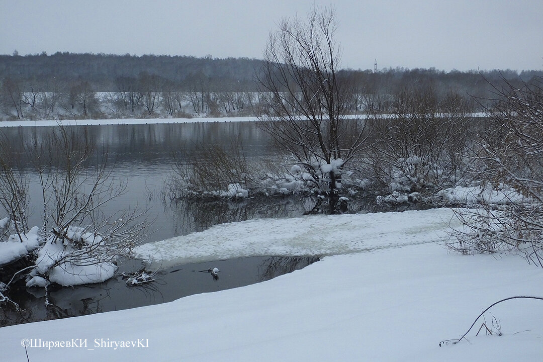 Река Ока напротив укрытия №1, которое река затапливала уже два раза. Там рыбаки в снегу следы пока не оставляли. Давно, в 2023 году мелькал зимородок. Буду делать капитальное укрытие. Надоело «пересиживать» рыбаков.