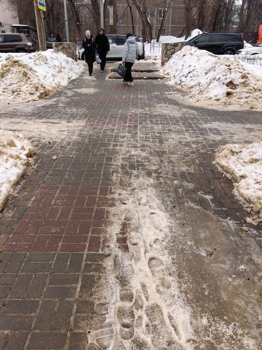 весенний ветерок. весна. весенний порыв. ветка сакуры маслом на холсте. апрель природа.