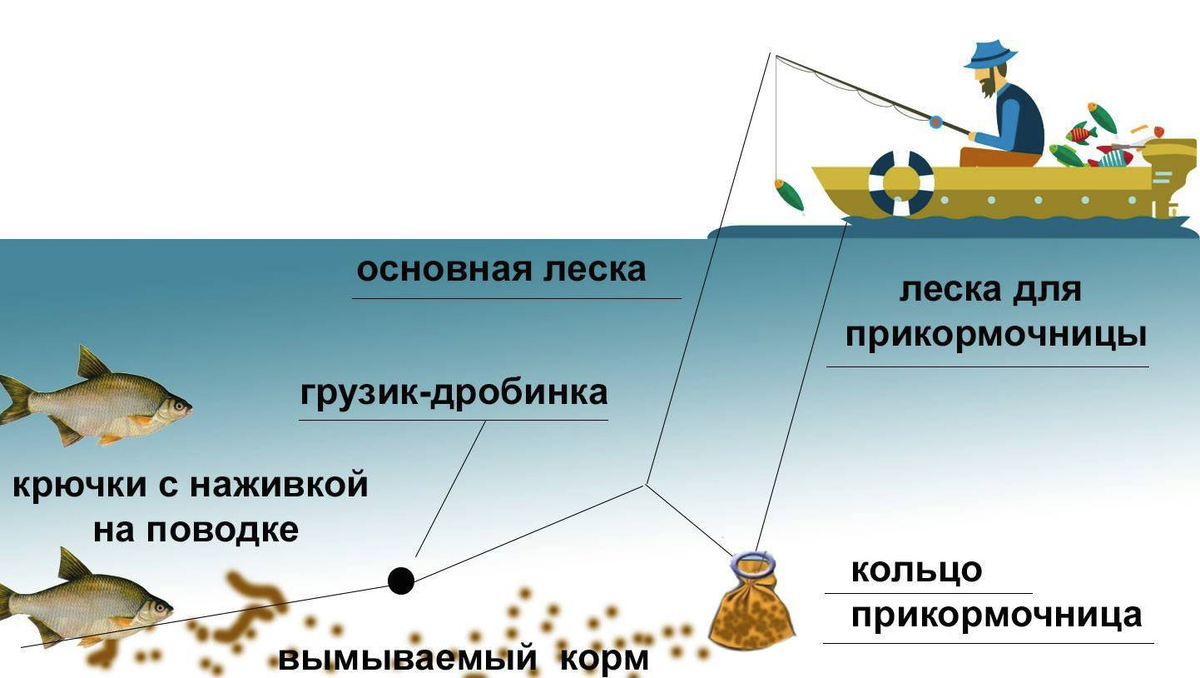 Ловля леща на кольцо Ловля леща на кольцо очень распространена в России, Украине