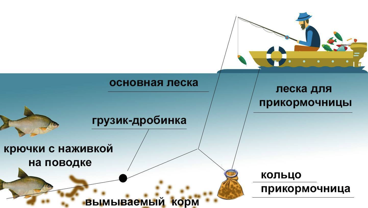 Фото с сайта: https://novikovnn.ru