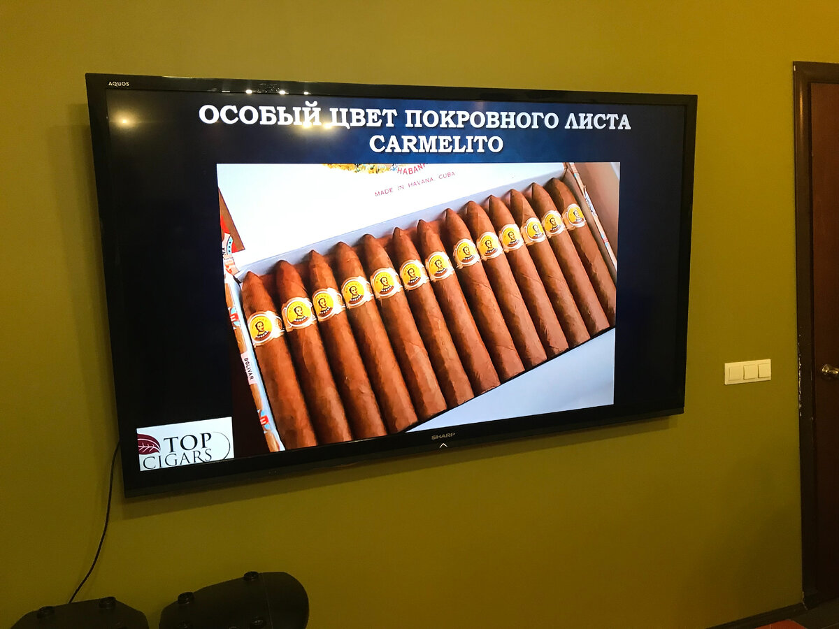 Средний балл по предметам 2023. Средние баллы по егэ. Максимальный балл по егэ. Егэ баллы и оценки. Средний балл по предметам 2023.