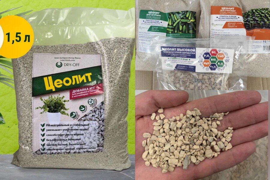 ландшафт террасирование участка. растения укрепляющие. растения укрепляющие. влияние комнатных растений на здоровье человека фото. душистые травы.