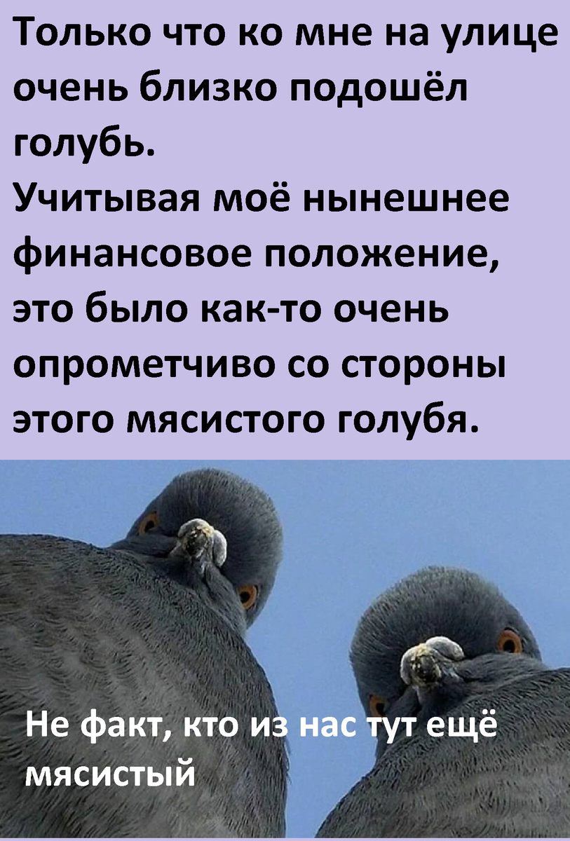 7 8 мем. Sjbody. Четыре мем. Бебра мем. Мем восемь четыре.