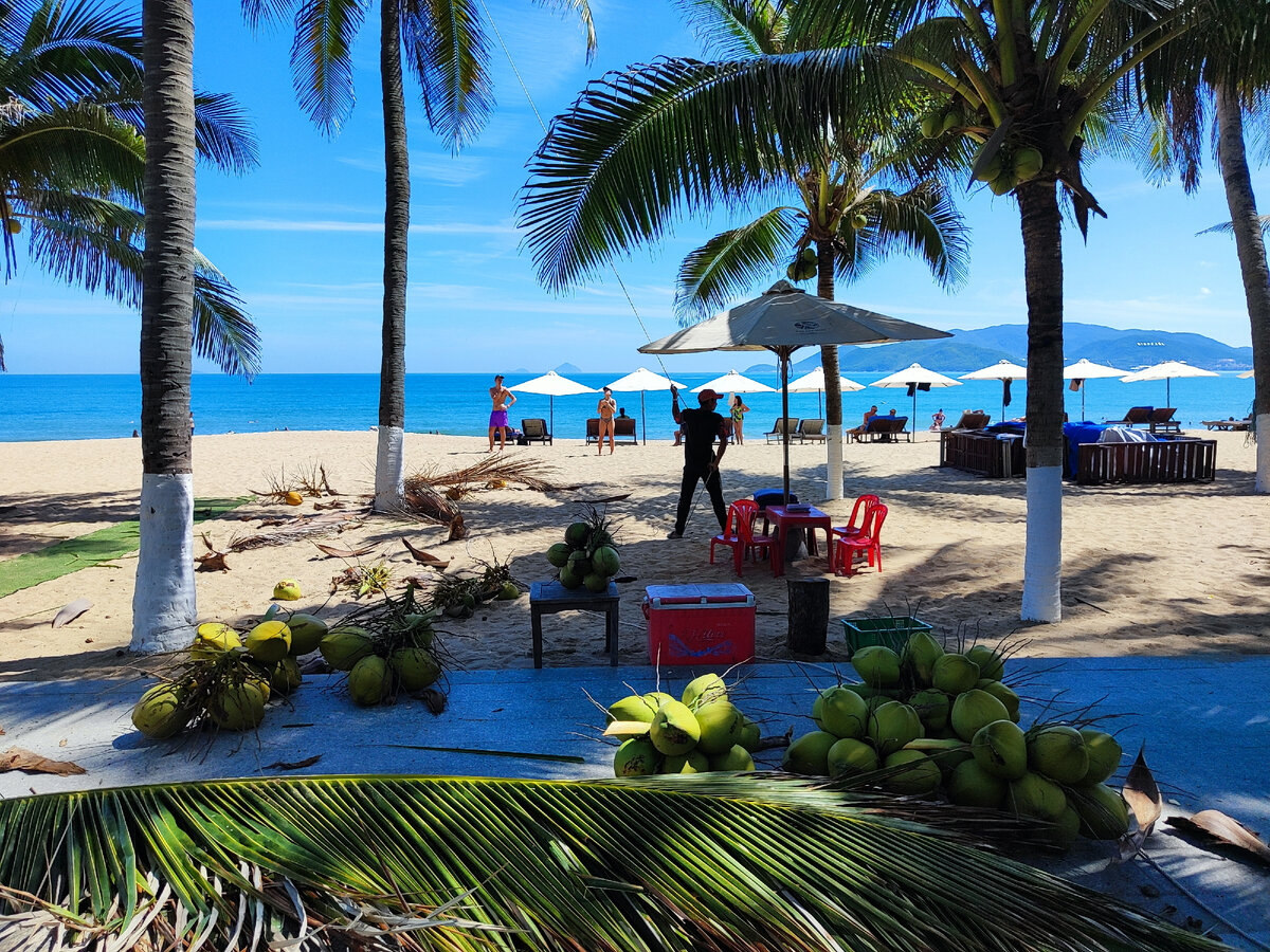 Книга две жизни конкордия антарова. Две жизни конкордия антарова 1 том. Конкордия антарова две жизни. Кора антарова две жизни. Замония вальтер моэрс.