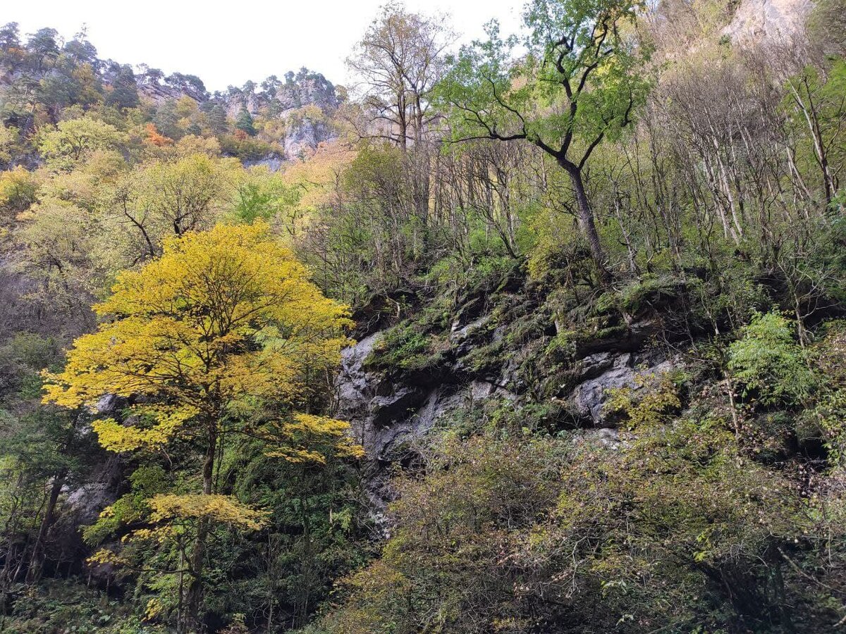 северная осетия алания фиагдон. сападере каньон водопады. ущелье аламедин киргизия. теснина ущелье и каньон. аянские скалы в крыму.