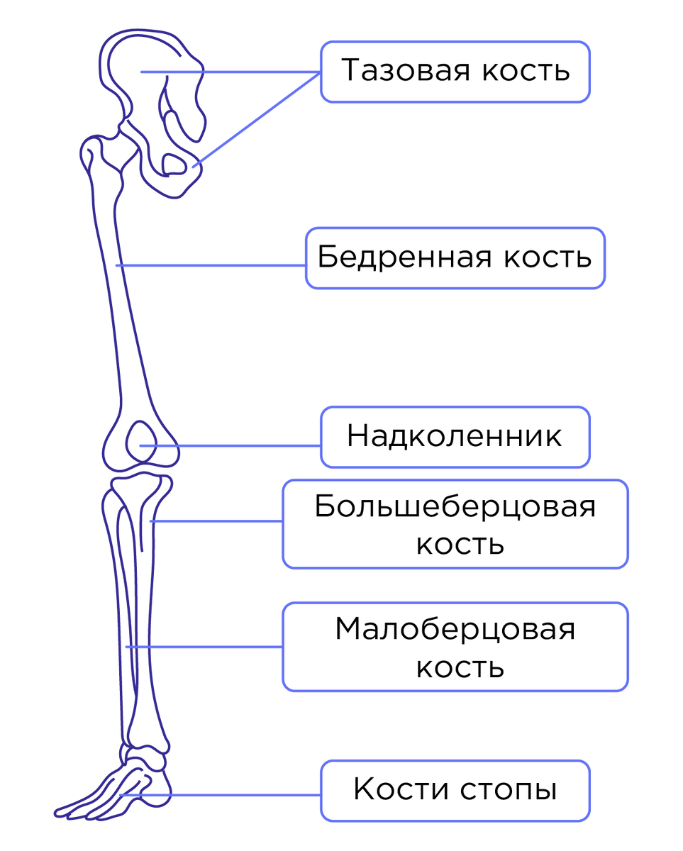 Кости сгорают