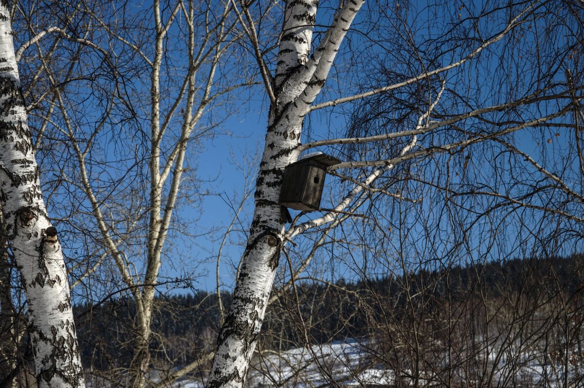 Фото сделано другом автора