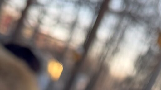 Подписать удаться. Вы не могли бы подписать мою петицию. Требование подписывается. Подписать удаться. Подписать удаться.