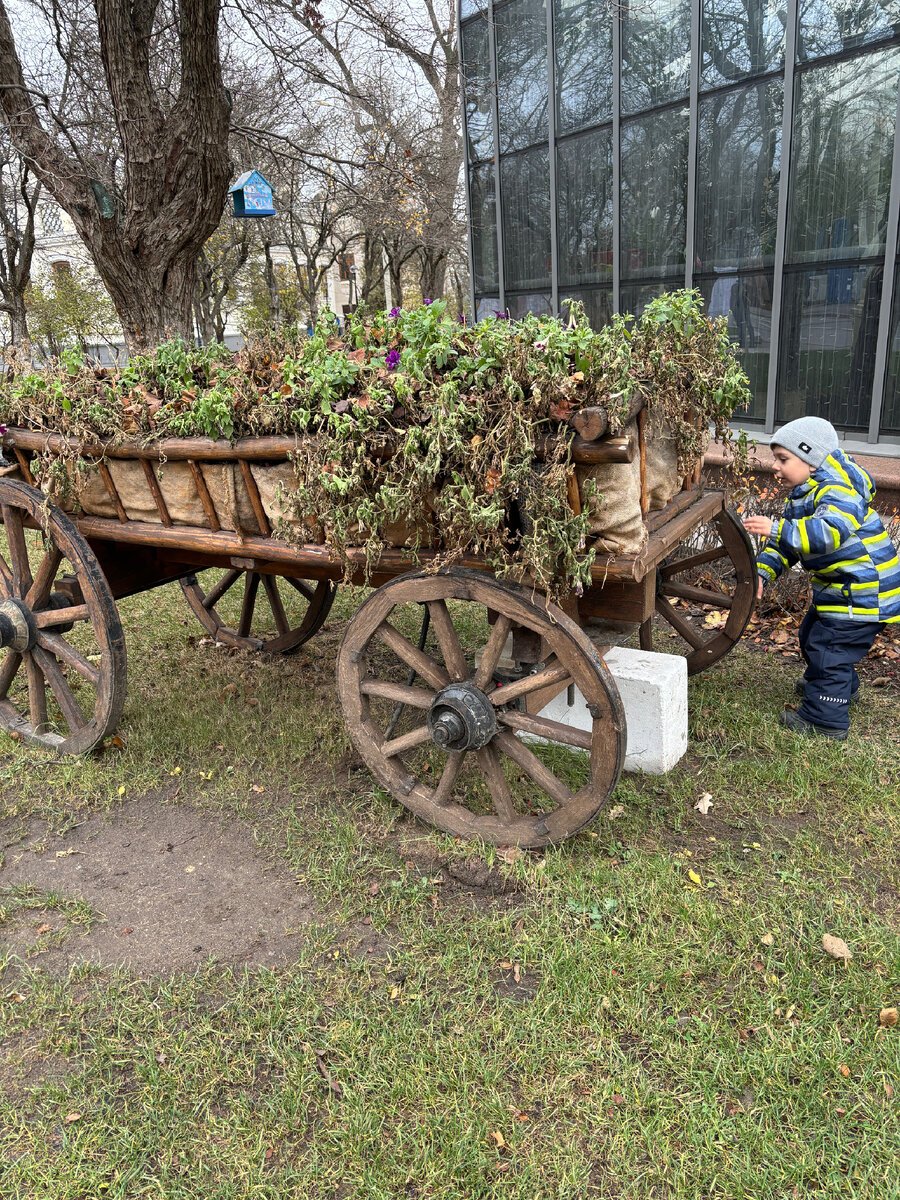 Фото автора. 