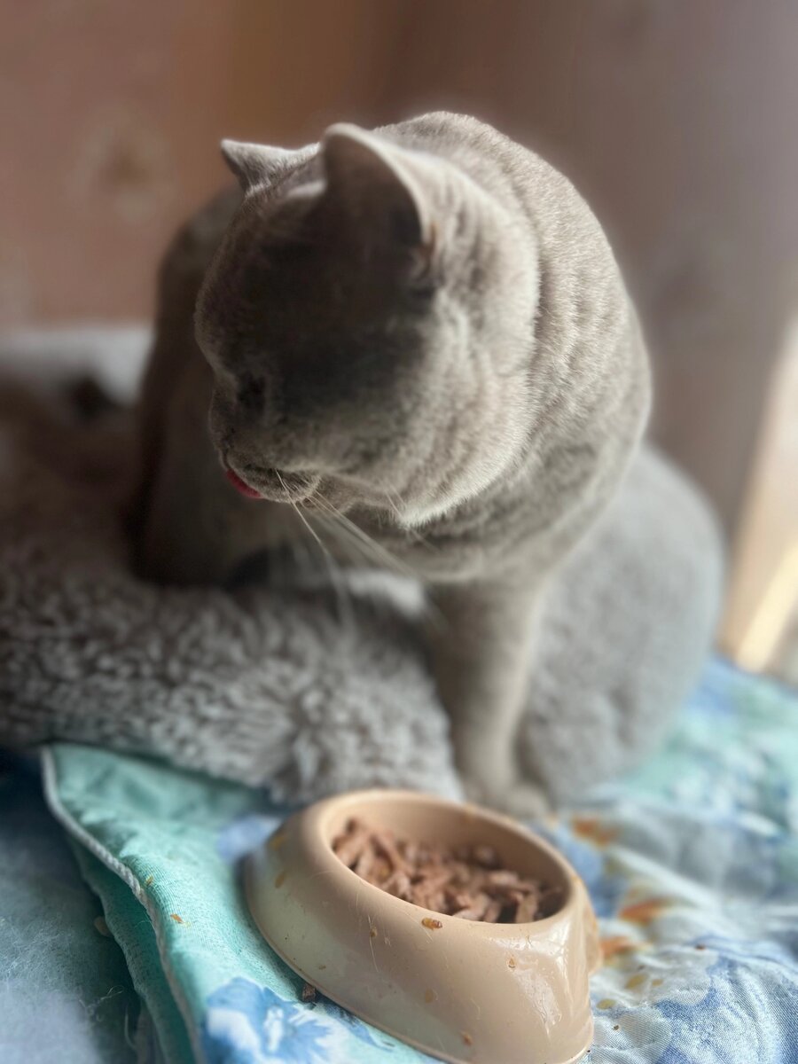 экономьте на онлайн покупках. что значит ежедневное. ежедневно ваш. ежедневно ваш. полезные привычки.