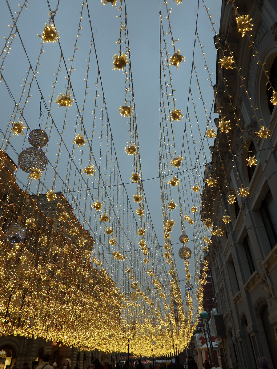 Январь 2024 год. 