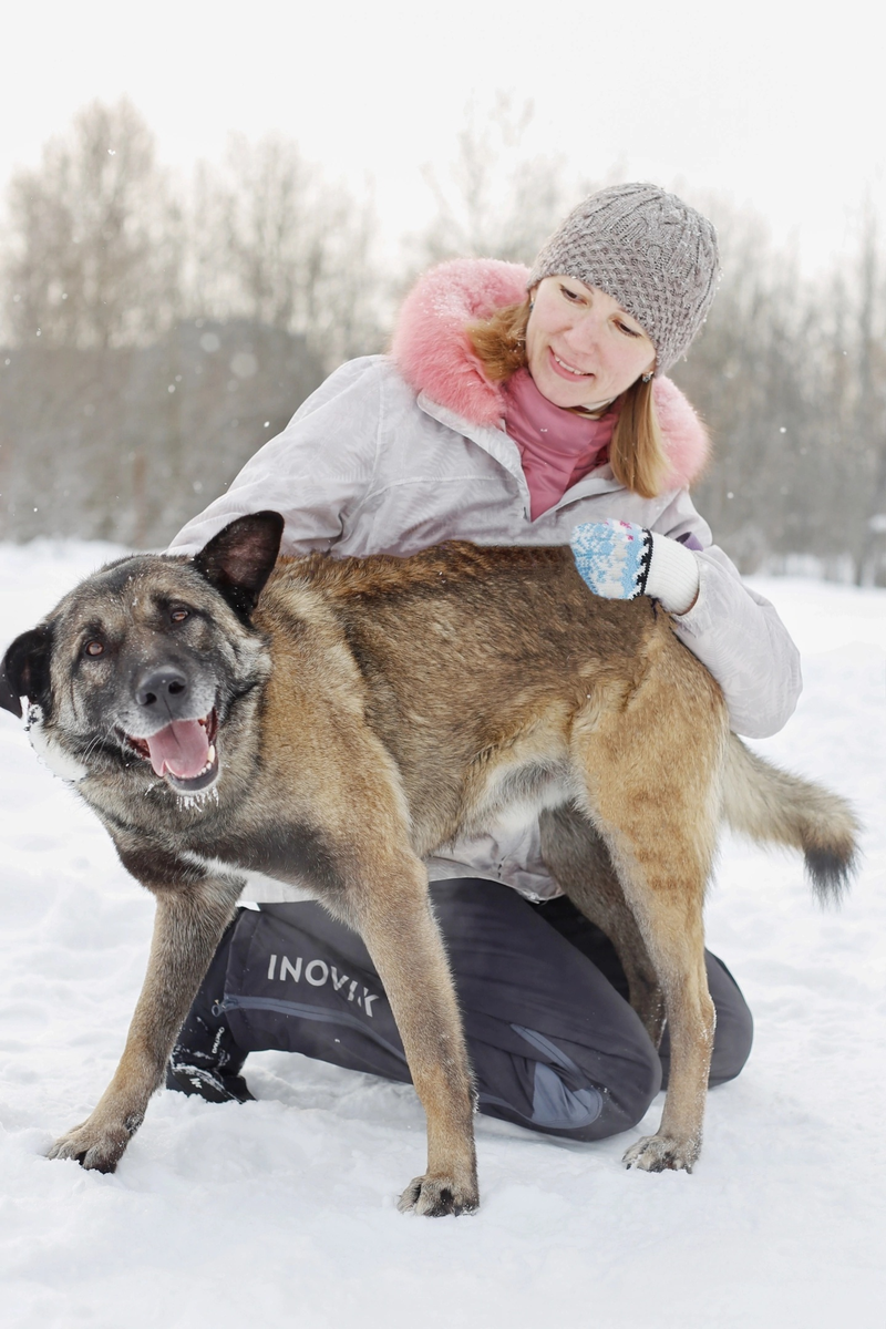 мафия прикол. нельзя просто так взять и мем. нельзя просто так взять и. нельзя быть просто друзьями. нельзя просто так взять и.
