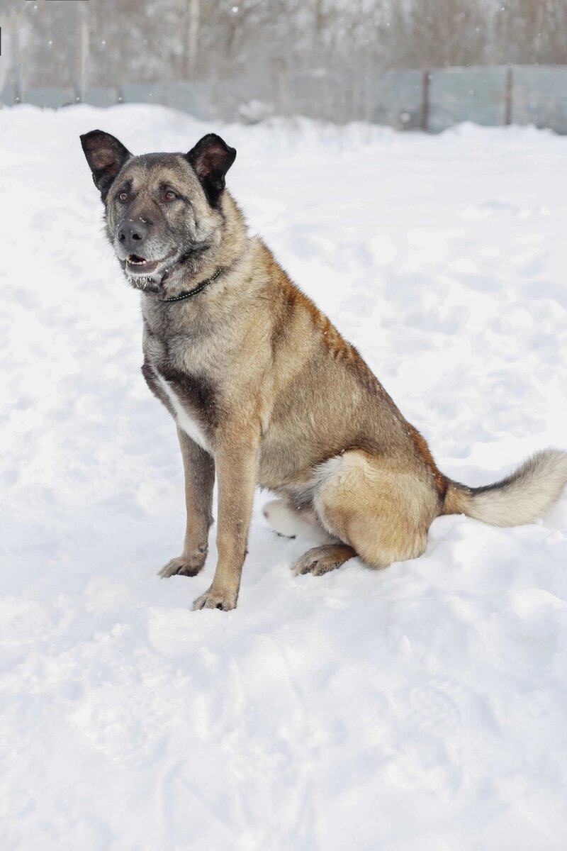 Не просто друзья. Бесстыжие просто друзья?. Для парня для друга мем девушка. Остаться друзьями после расставания. Остроумные высказывания.