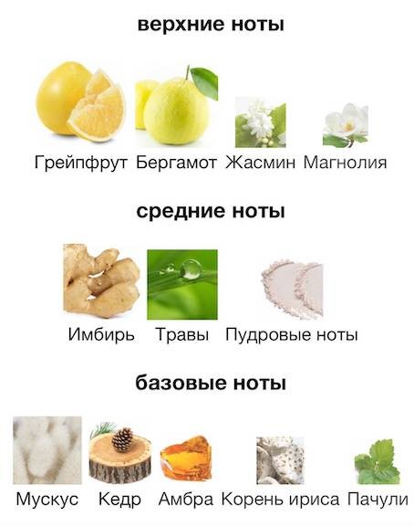 Изображение взято с сайта https://www.fragrantica.ru