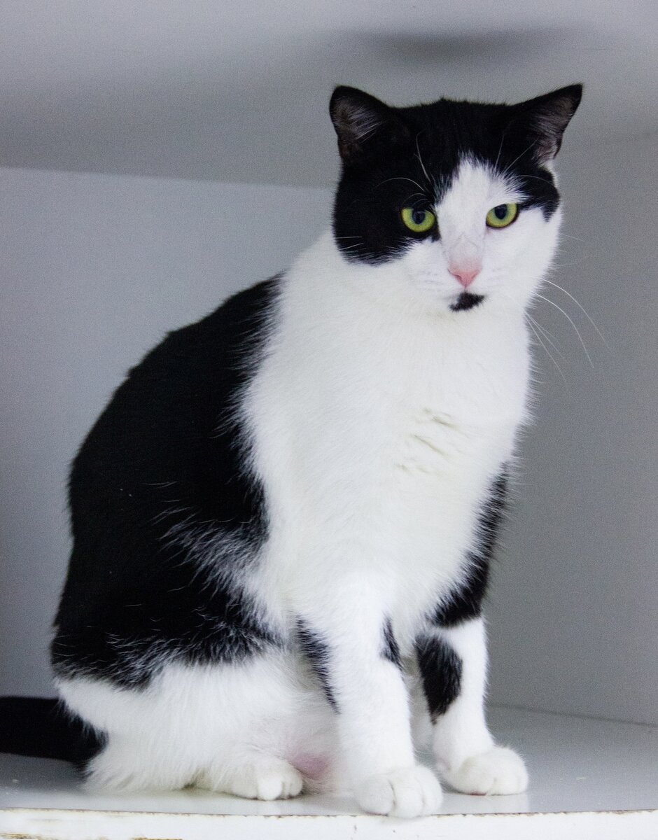 Много цитат. Хотела знать количество. Незнание закона не освобождает от ответственности. Хотела знать количество. Ты нуждаешься во мне.