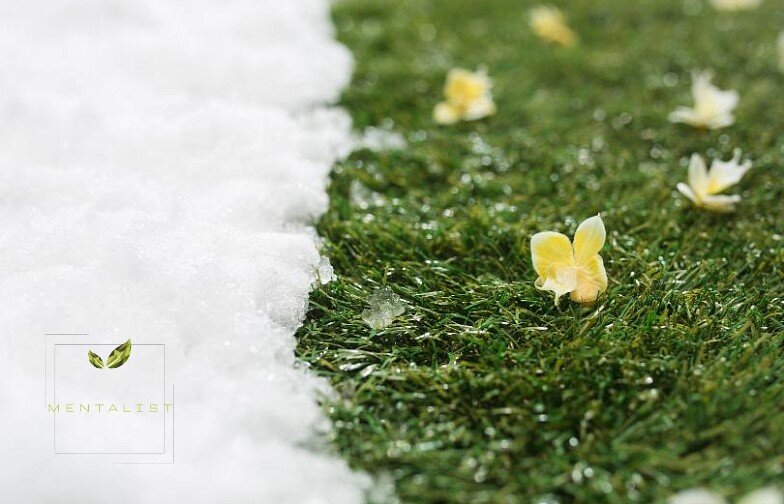 жизнь начинается весной. весна в поэзии. весна начало новой жизни. ранняя весна. начать новую жизнь весной.