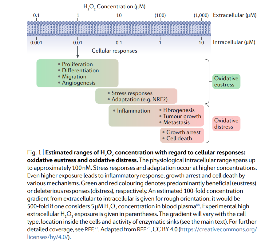 3 моль кислорода o2. Задачи по химии кислород по массе. Объем h2 3 моль. 3 моль кислорода o2. Моль кислорода.