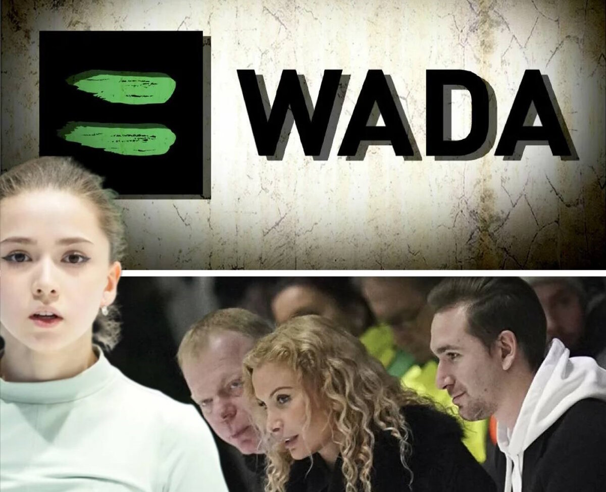 Коллаж @tuluptut