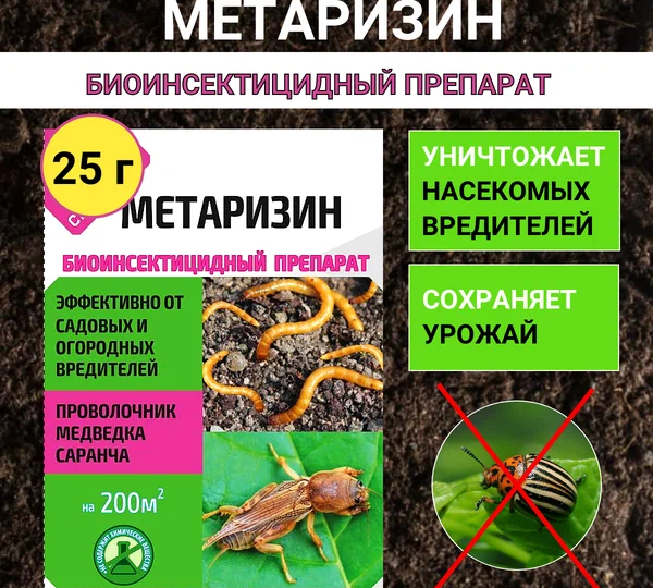 Биологический препарат от луковой и морковной мухи, проволочника, и прочих почвобитающих. Нюансы применения