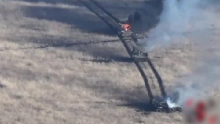 Фото: соцсети