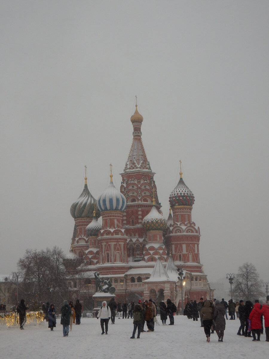 Январь 2024 год. 