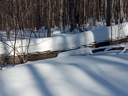Фотография из личного архива автора