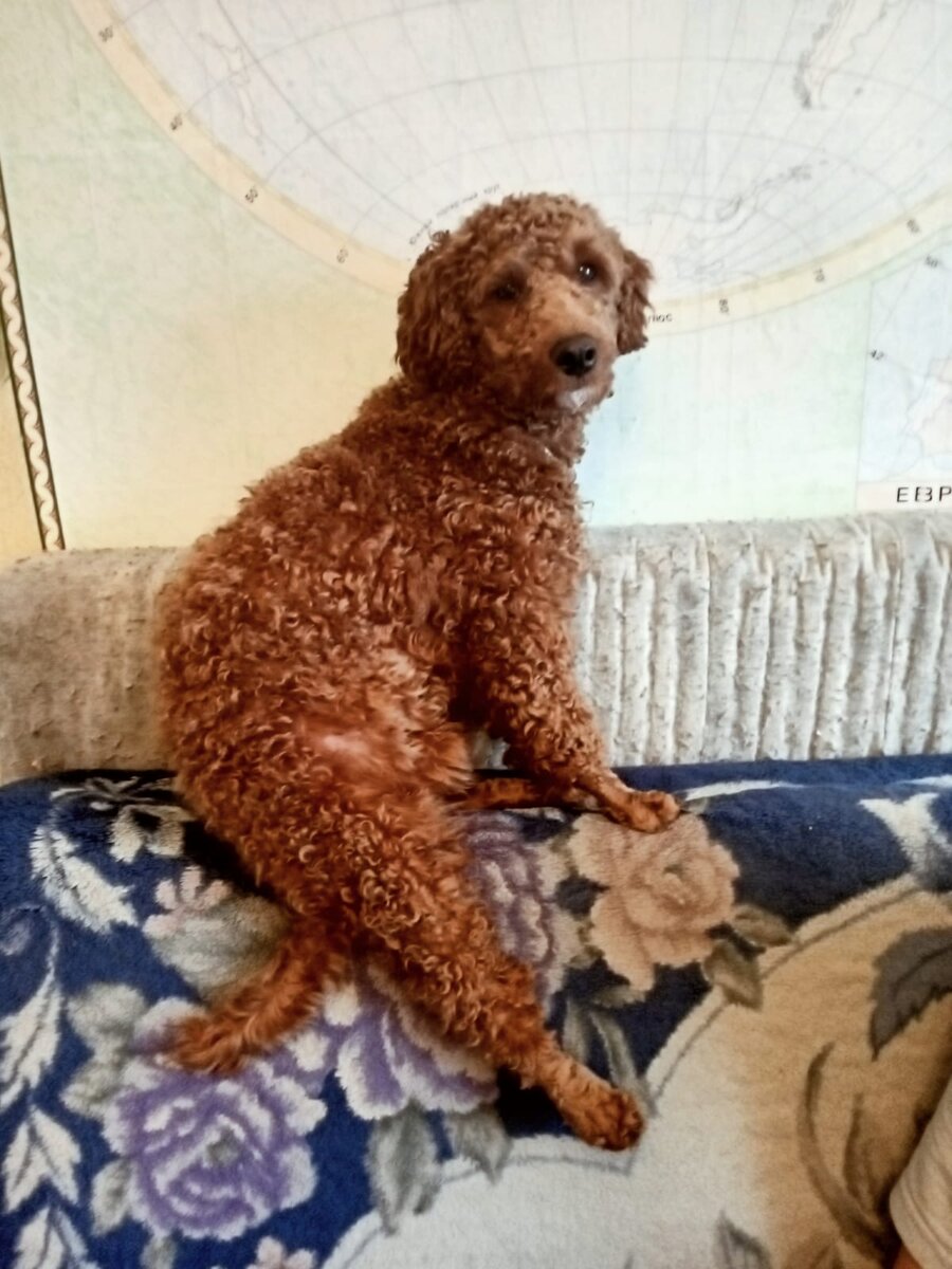 Румпель: - Чё? Просто сижу. 