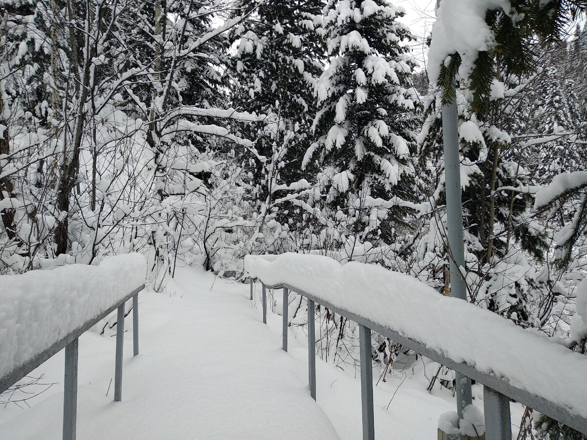 детство самая великолепная и беззаботная пора сочинение