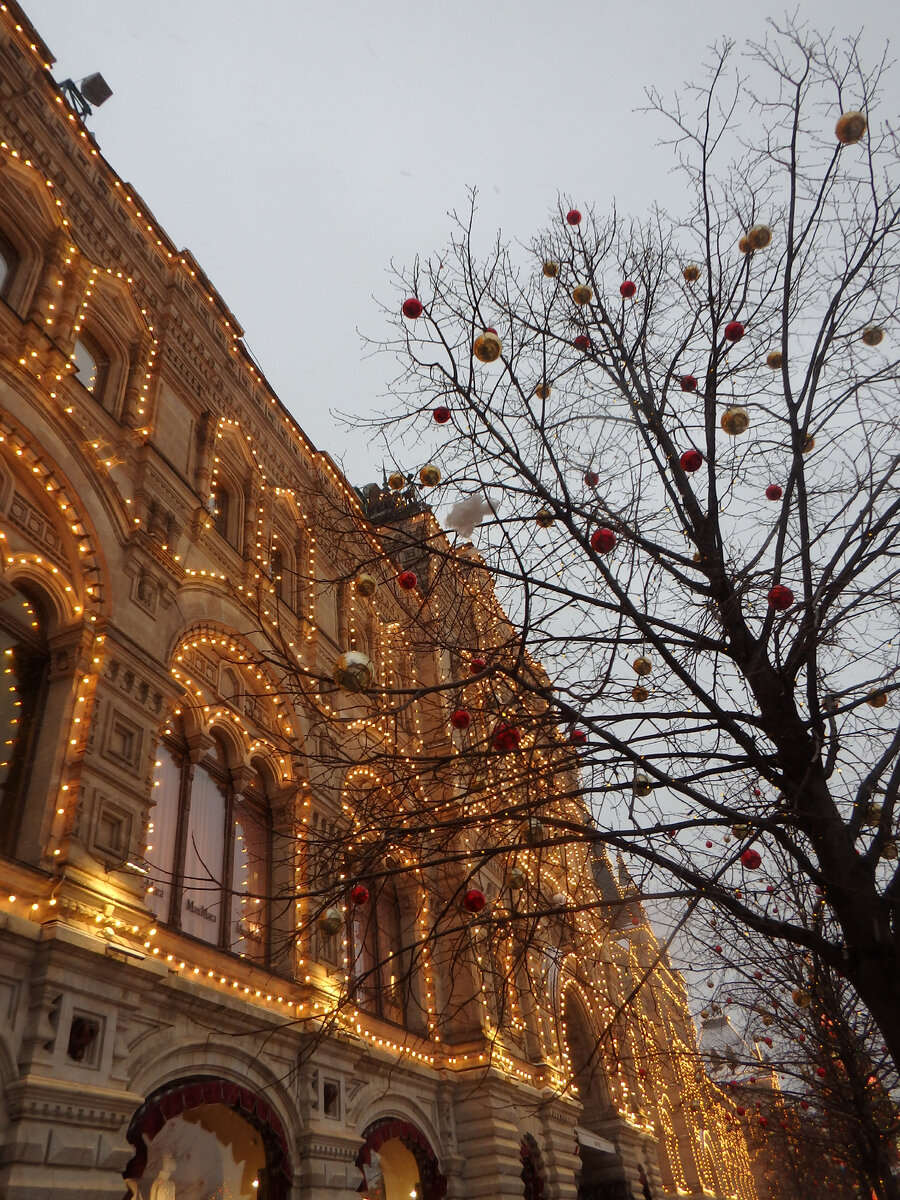 Январь 2024 год 