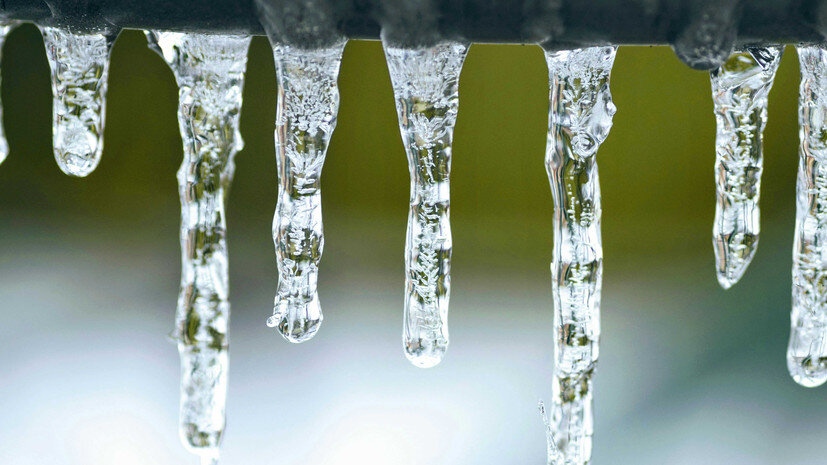   Gettyimages.ru Amy Ebner / FOAP