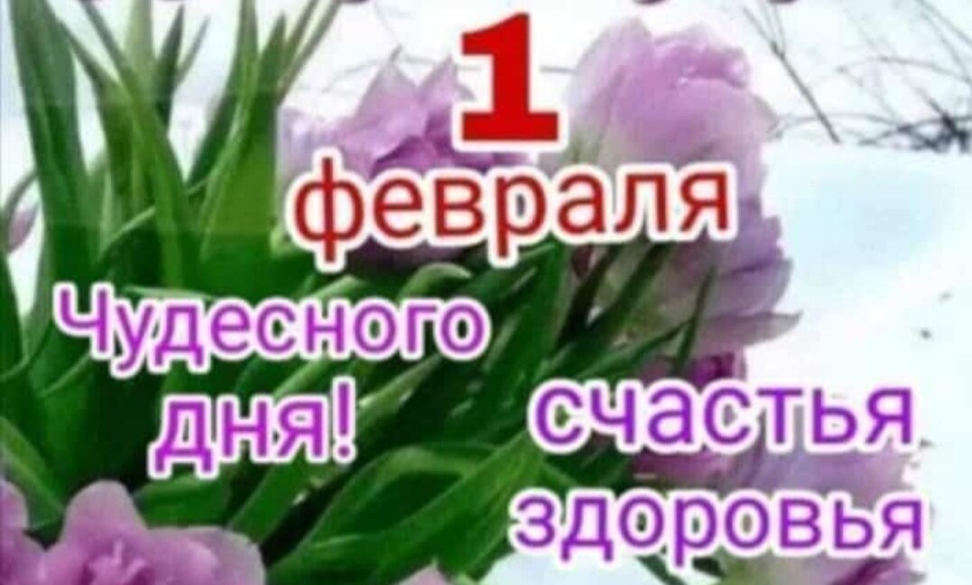 Концепция исправления имен. Принцип исправления имен в философии. Исправления названий. Способы исправления ошибок. Исправь ошибку в названии сказки.
