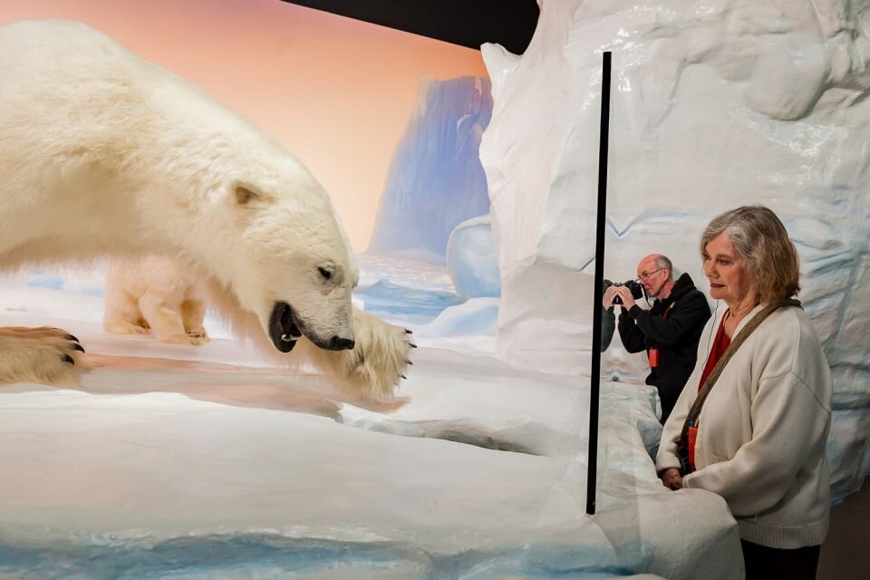 Источник: Canadian museum of nature