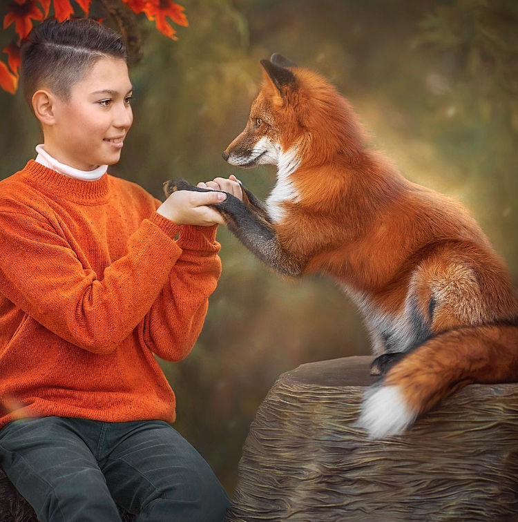 обыкновенная лисица. лисы стали детьми. интересные факты о лисе. гривистый волк волчата. животные весной.