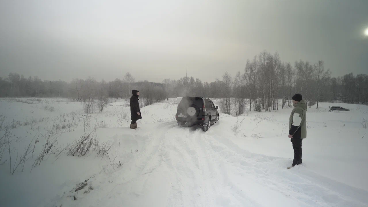 Там они ищут